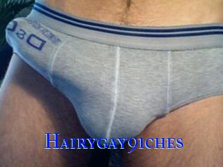 Hairygay9iches