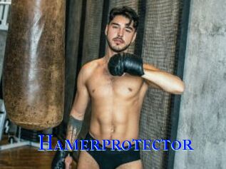 Hamerprotector