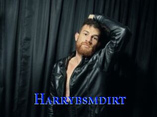 Harrybsmdirt