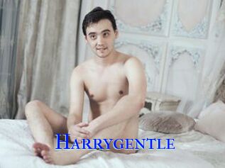 Harrygentle