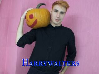 Harrywalters