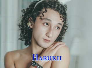 harukii Hardcore Boy sex