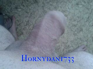 Hornydan1733