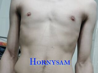 Hornysam