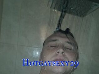 Hotgaysexy29