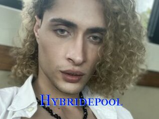 Hybridepool