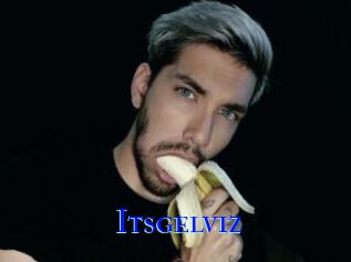 Itsgelviz