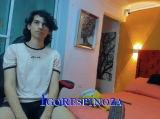 igorespinoza Hardcore Boy sex