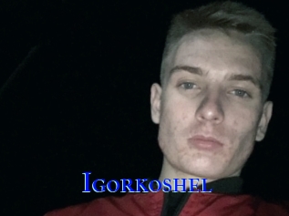 Igorkoshel