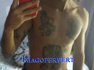 Imagopervert