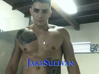 Jake_Sulivan