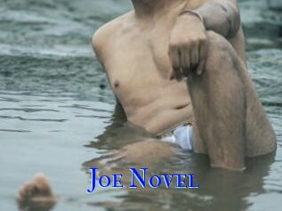 Joe_Novel