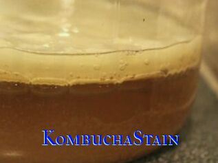 KombuchaStain