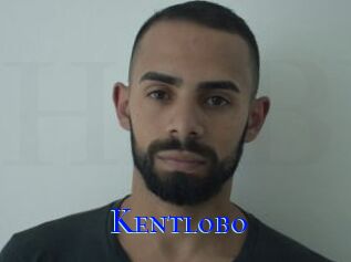 Kentlobo