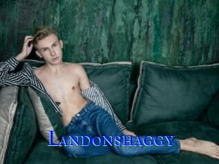 Landonshaggy