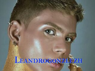Leandrogonzlezh