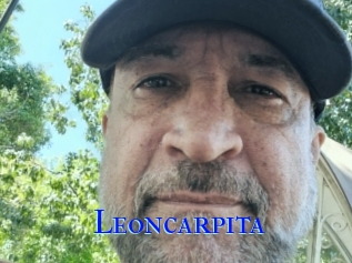Leoncarpita