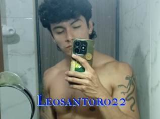 Leosantoro22