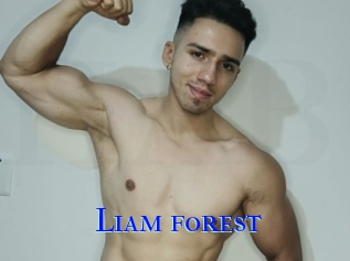 Liam_forest