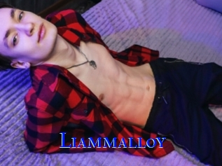 liammalloy Hardcore Boy sex