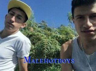 Malehotboys