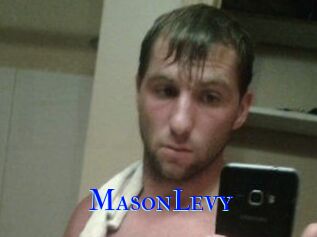 Mason_Levy