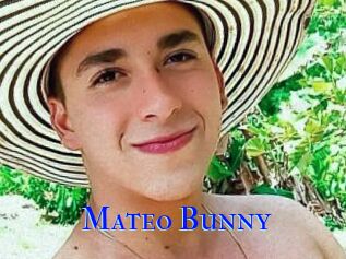 Mateo_Bunny