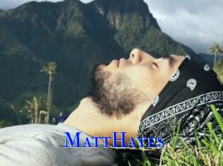 MattHayes