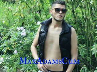 MaxAdamsCum