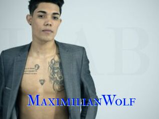 MaximilianWolf