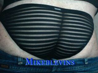Mikeblevins