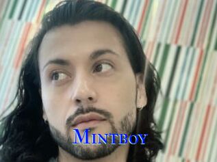 Mintboy