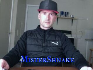 MisterShnake