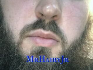 MrHairyJr