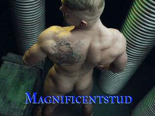 Magnificentstud