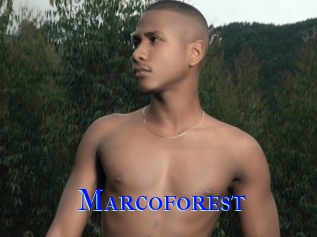 Marcoforest