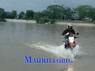 Maurillobig