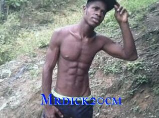 Mrdick20cm