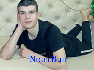 NigelBud
