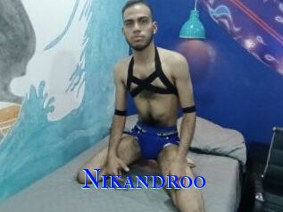 Nikandroo