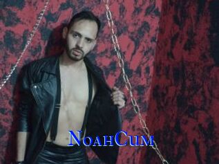NoahCum