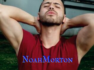 NoahMorton