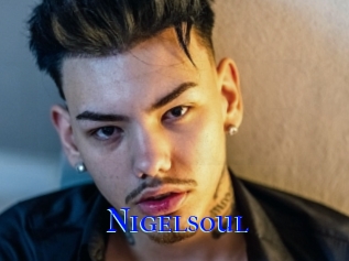Nigelsoul