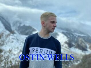OSTIN_WELLS