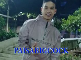 PAISABIGCOCK