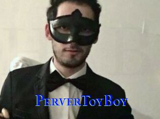 PerverToyBoy