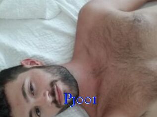 Pj001
