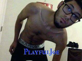 PlayfulJoe