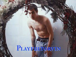 Playfultorvin