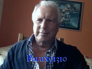 Polux91310